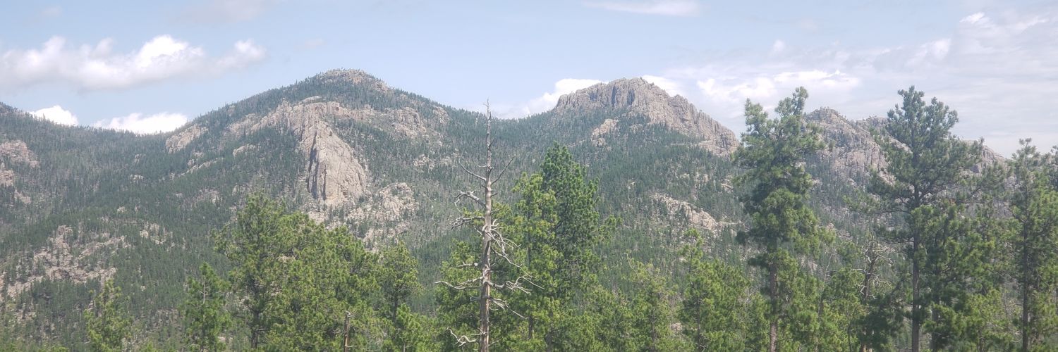 MarcusDamoose's profile banner image