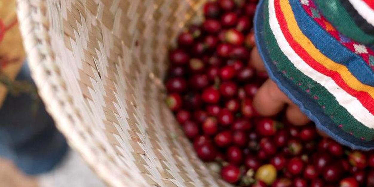 Grassroots Volunteer banner