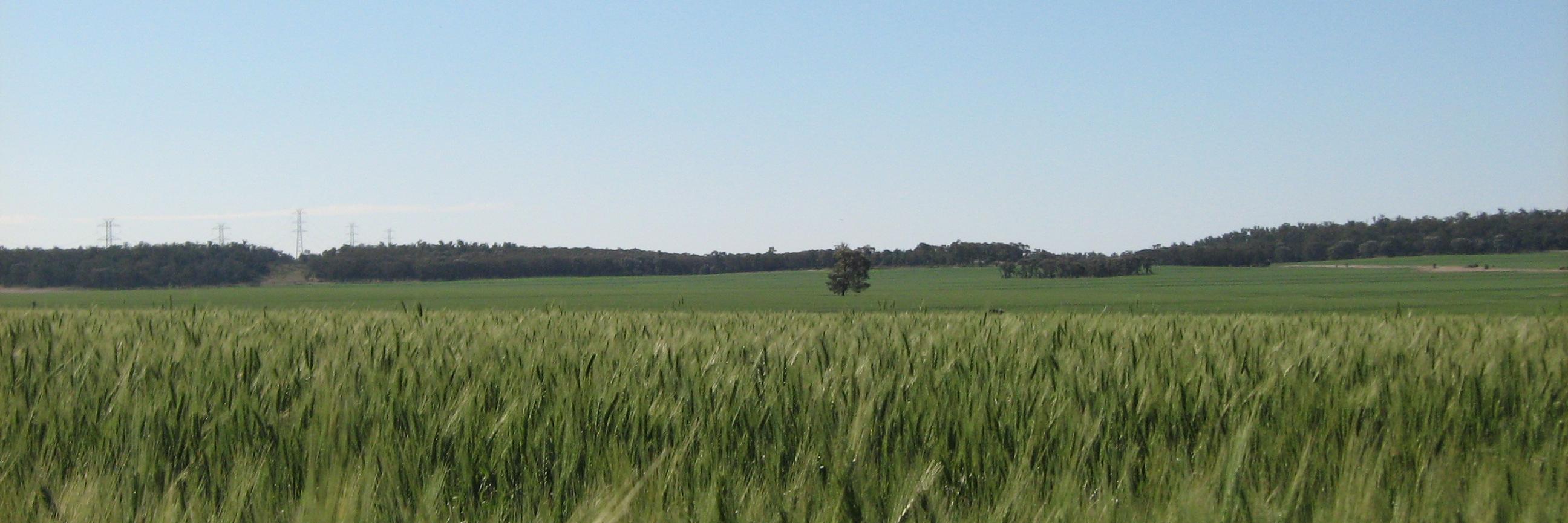 Steve_Hegarty's profile banner image