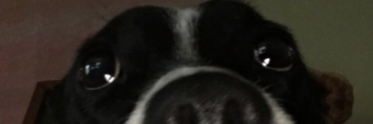 thehaileygb's profile banner image