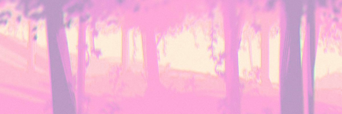 LittlexPichu's profile banner image