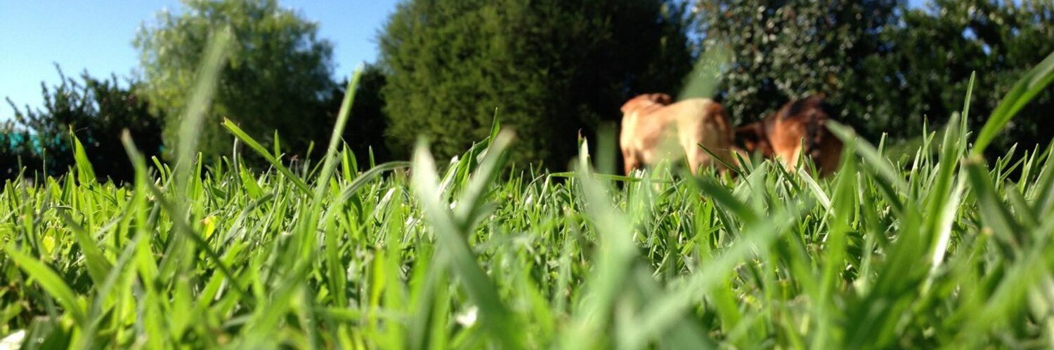 m_dinale's profile banner image