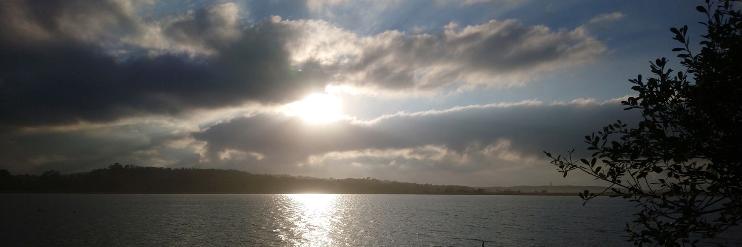 Vanecf2020's profile banner image