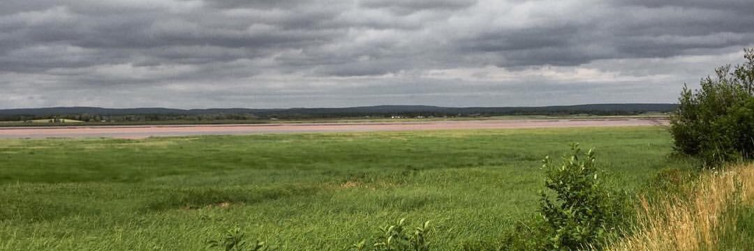 alyssa banner