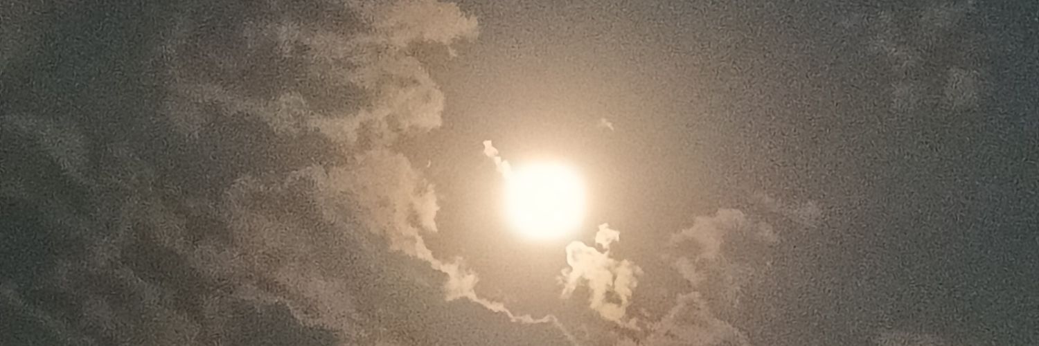 rangi_rangesh's profile banner image