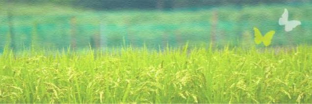 craney_usp's profile banner image