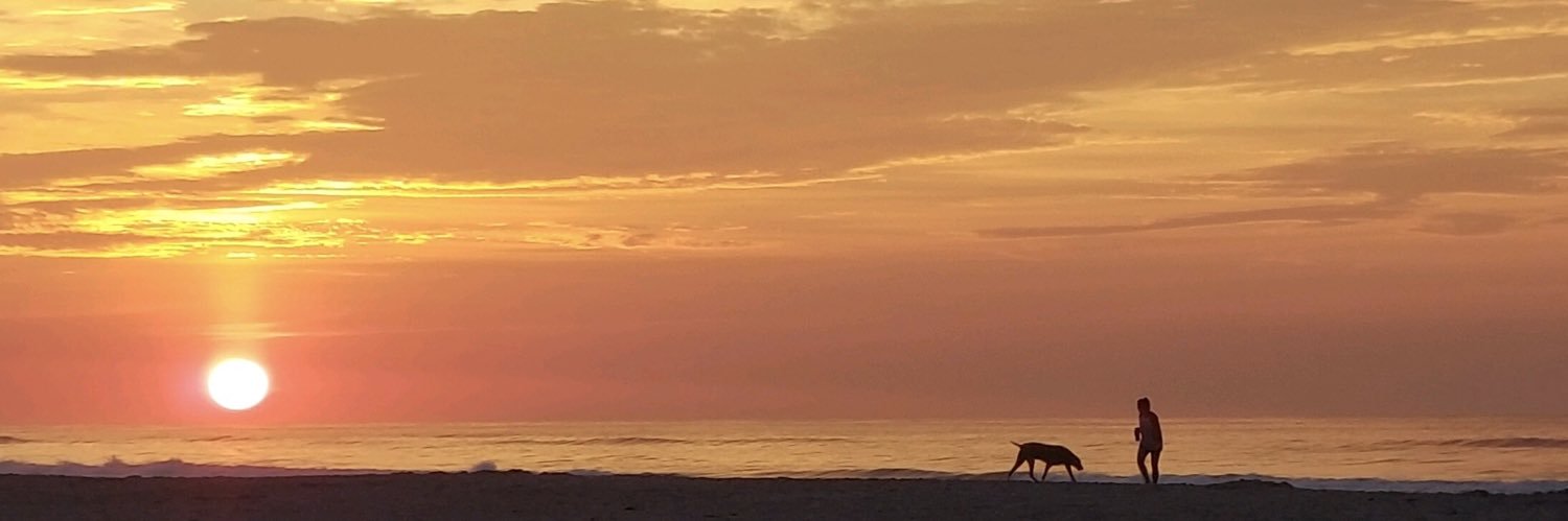 Carol L. Birnbohm banner