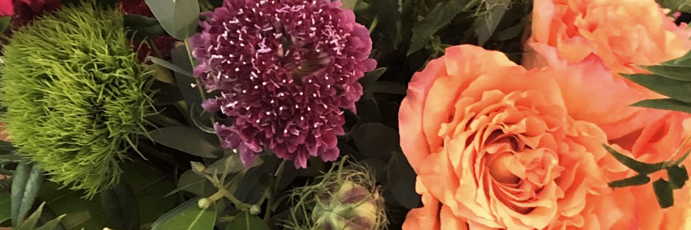 misskatwhite's profile banner image