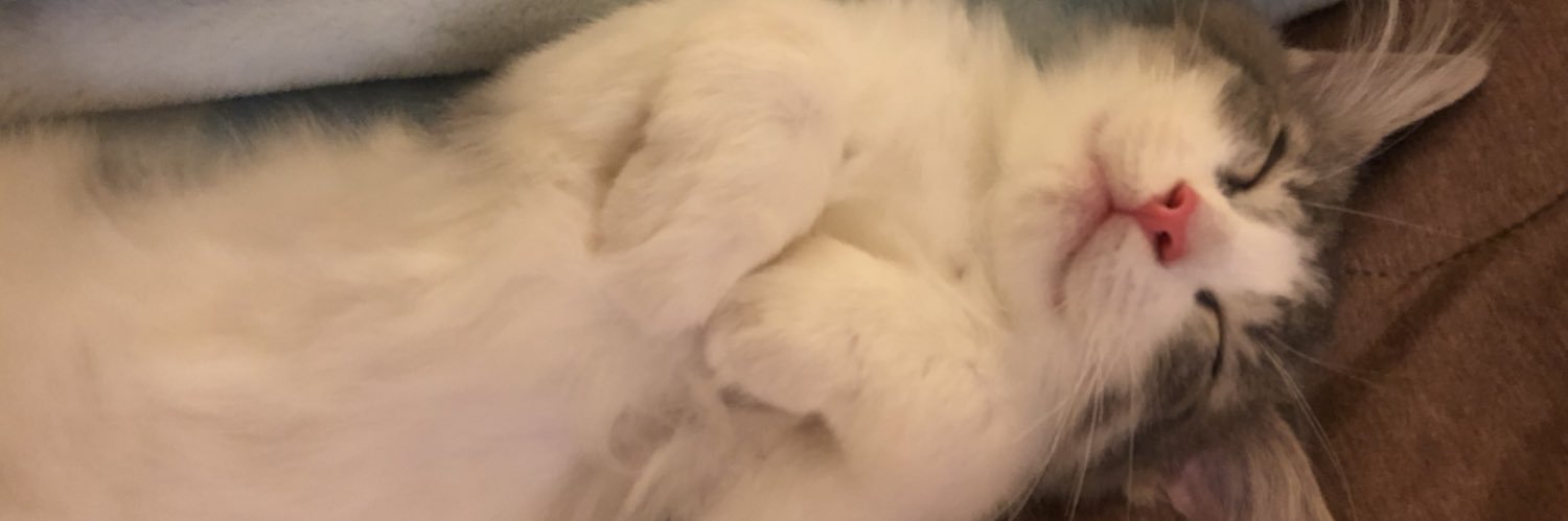 Smilemantan's profile banner image