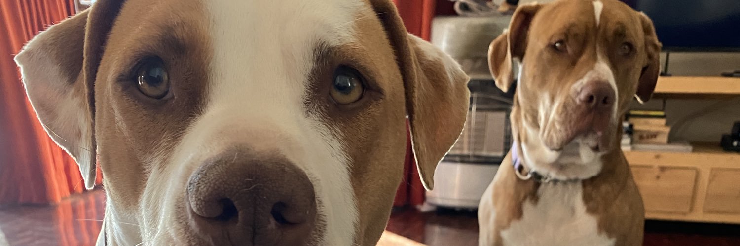 KevinMdubeki's profile banner image
