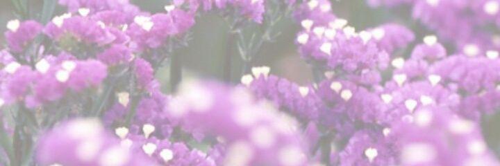 Baiser25's profile banner image