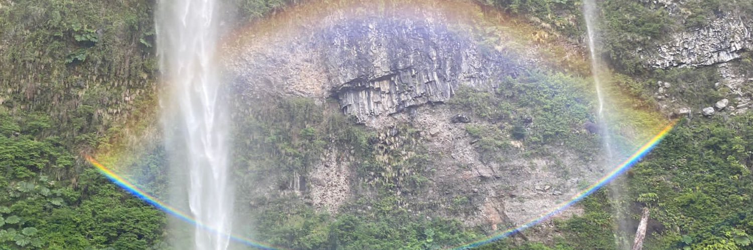 Daniela Fernanda banner