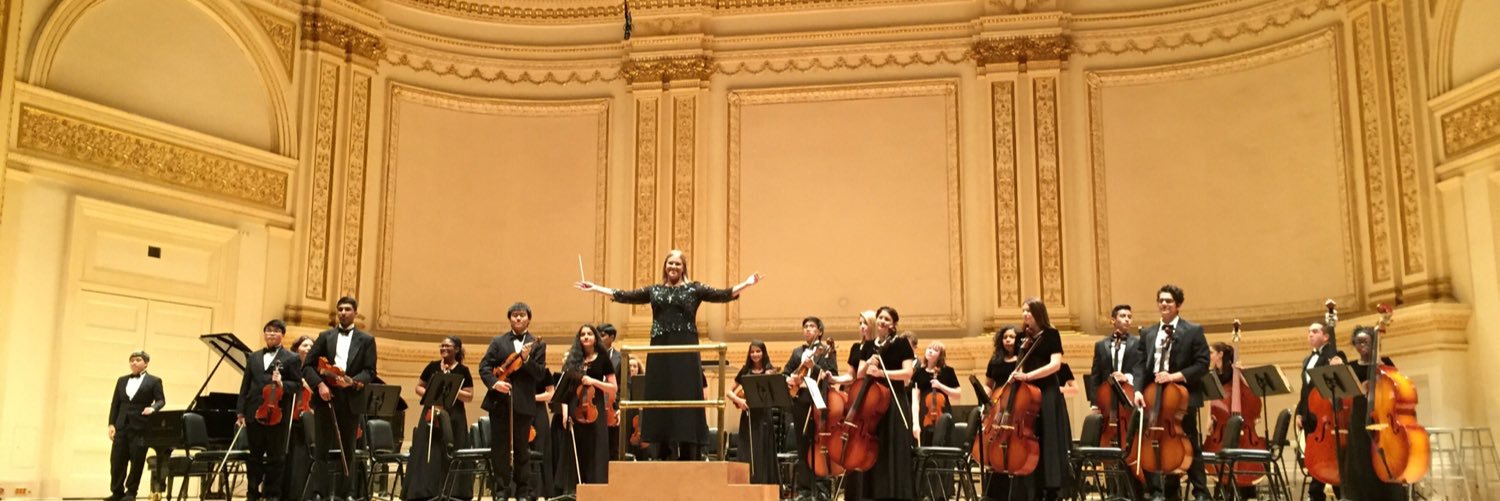 thsorchestra's profile banner image