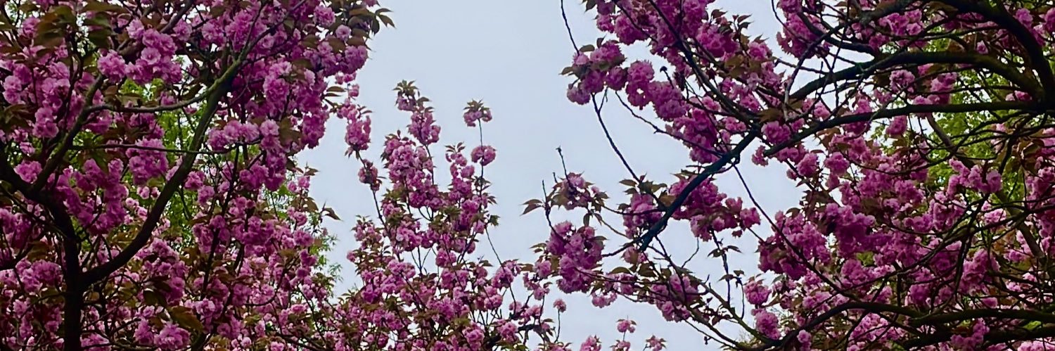 PamEscobar__'s profile banner image