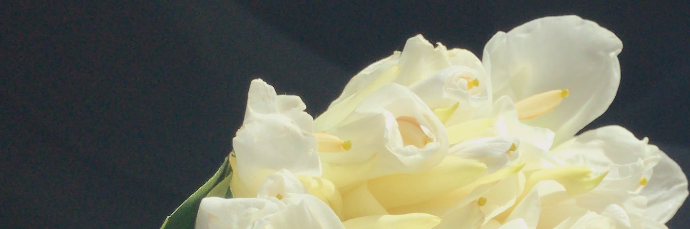 daniel_adonay's profile banner image