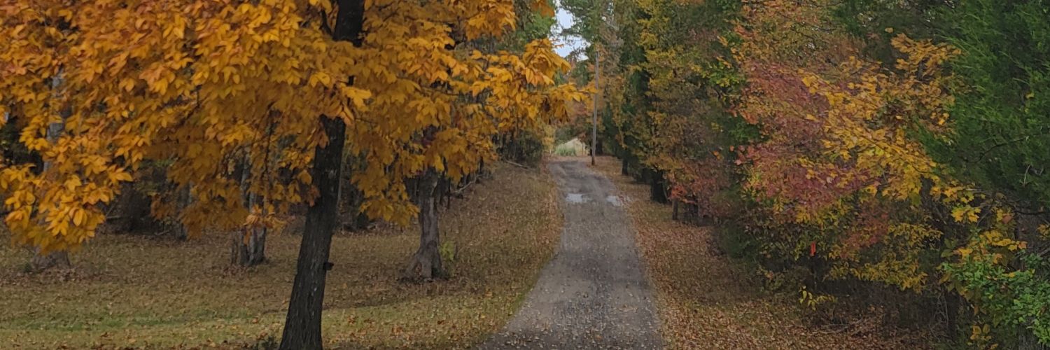 Jlw894's profile banner image