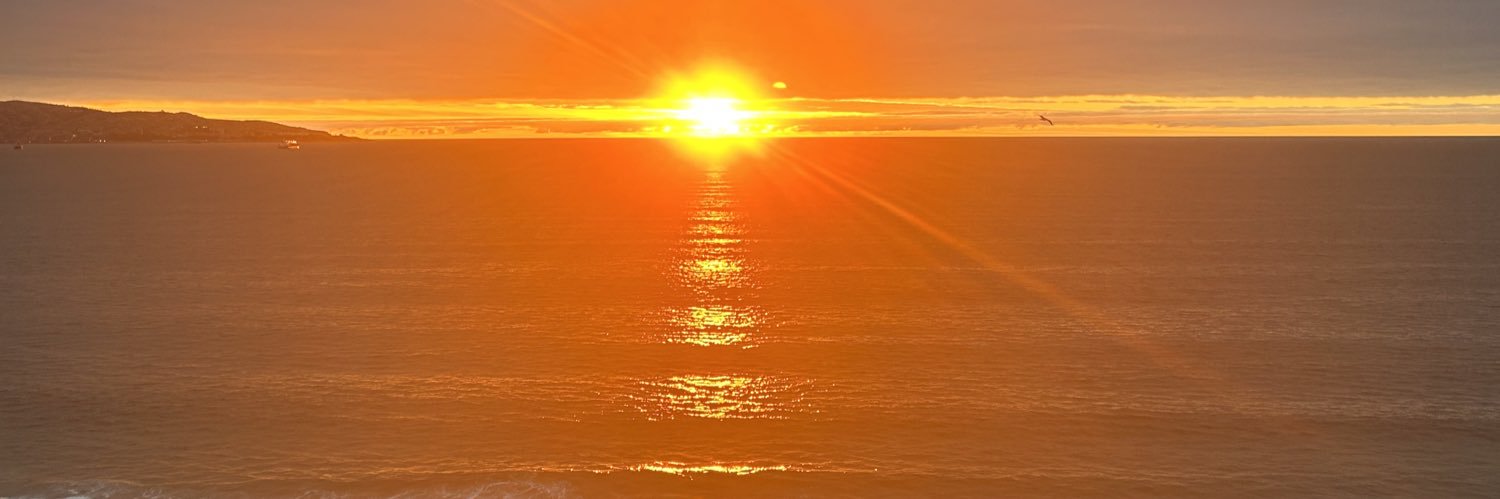 bertopadin's profile banner image