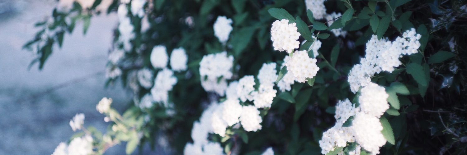 PEKE banner