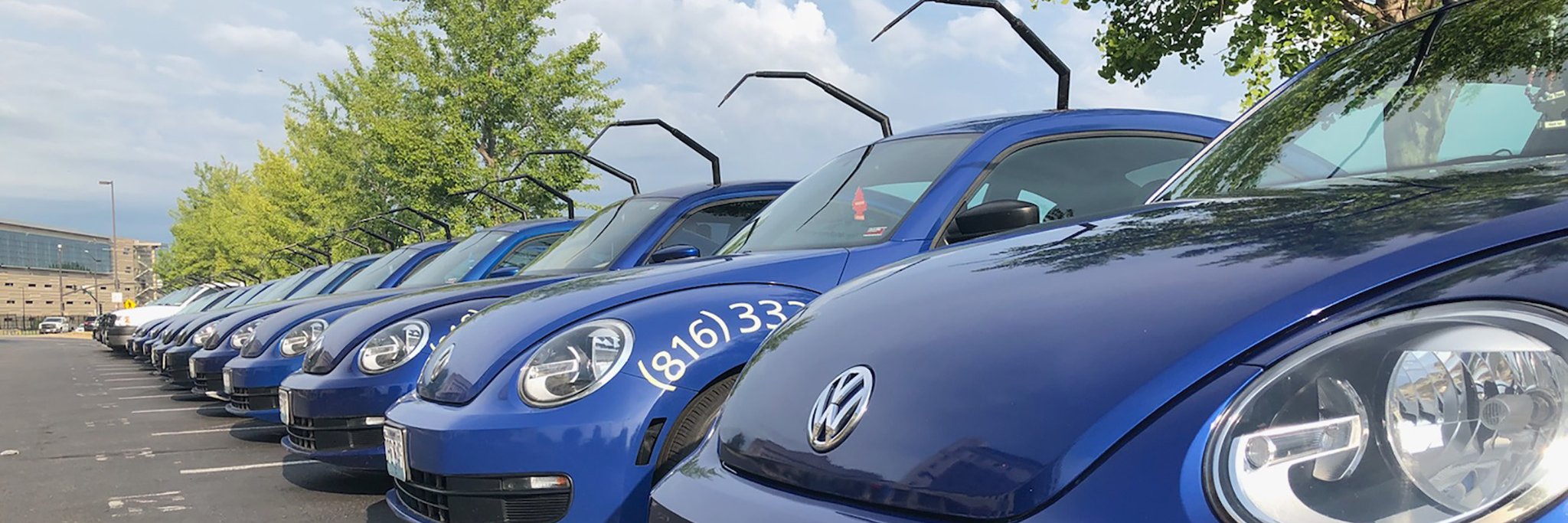 Blue Beetle Pest Control banner