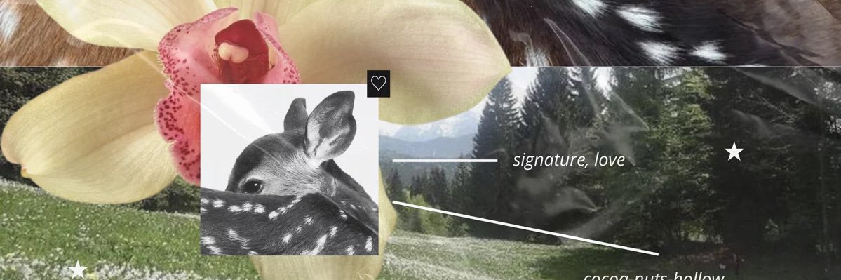 DawnsIate's profile banner image