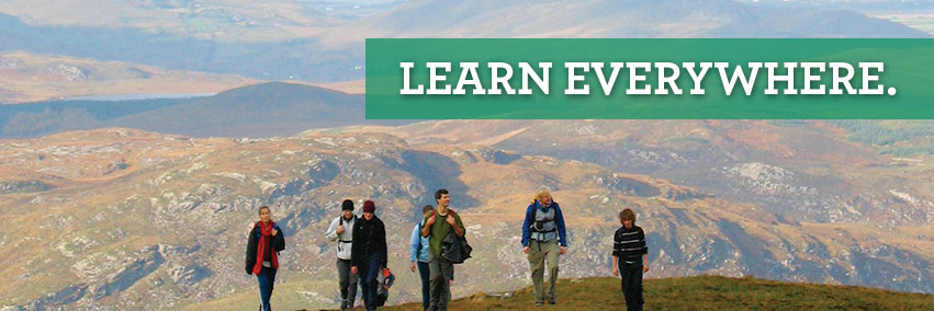 ArcadiaIreland's profile banner image