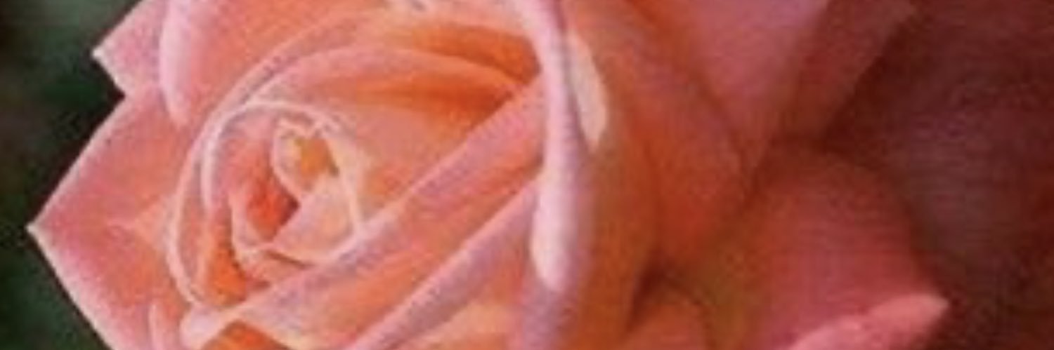 ام محمد banner