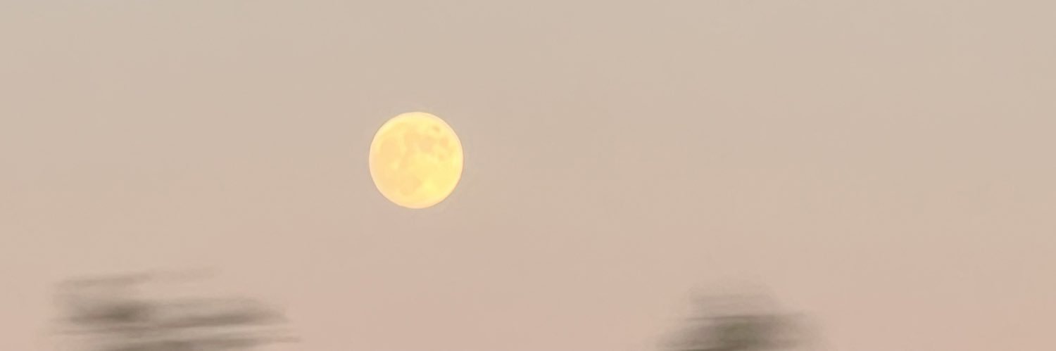 Jagger Ray Moon banner