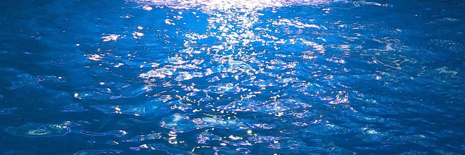 りんご(情報収集用) banner