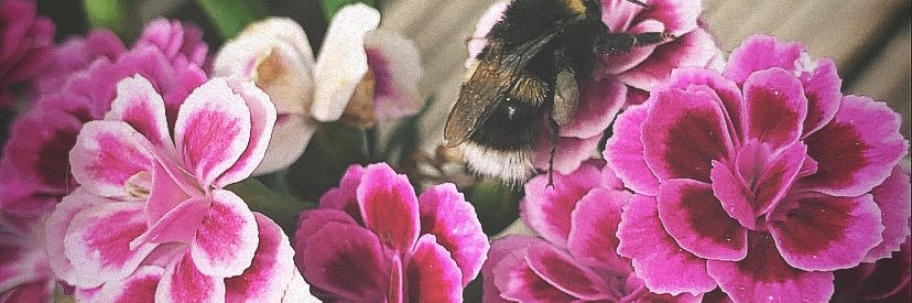 hannahmooody's profile banner image