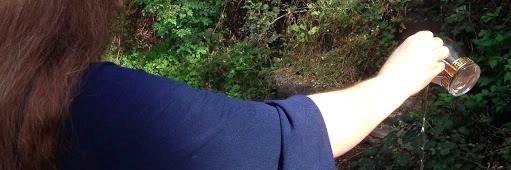 Molly Blue Dawn banner