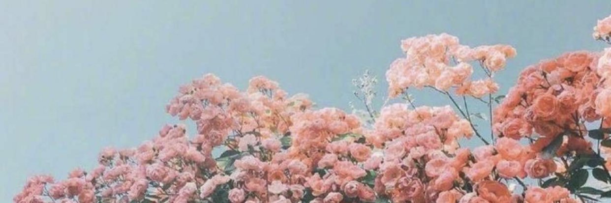 Atoooofh3's profile banner image