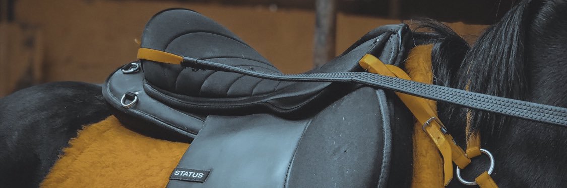 mguitarm1's profile banner image