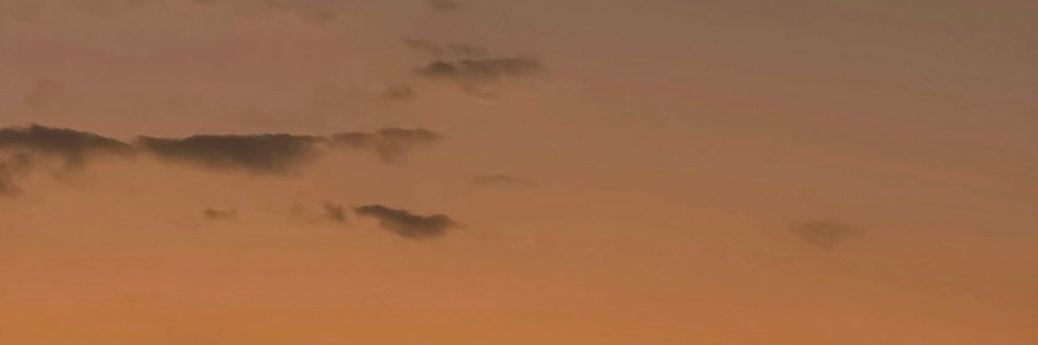 ___alonndra's profile banner image
