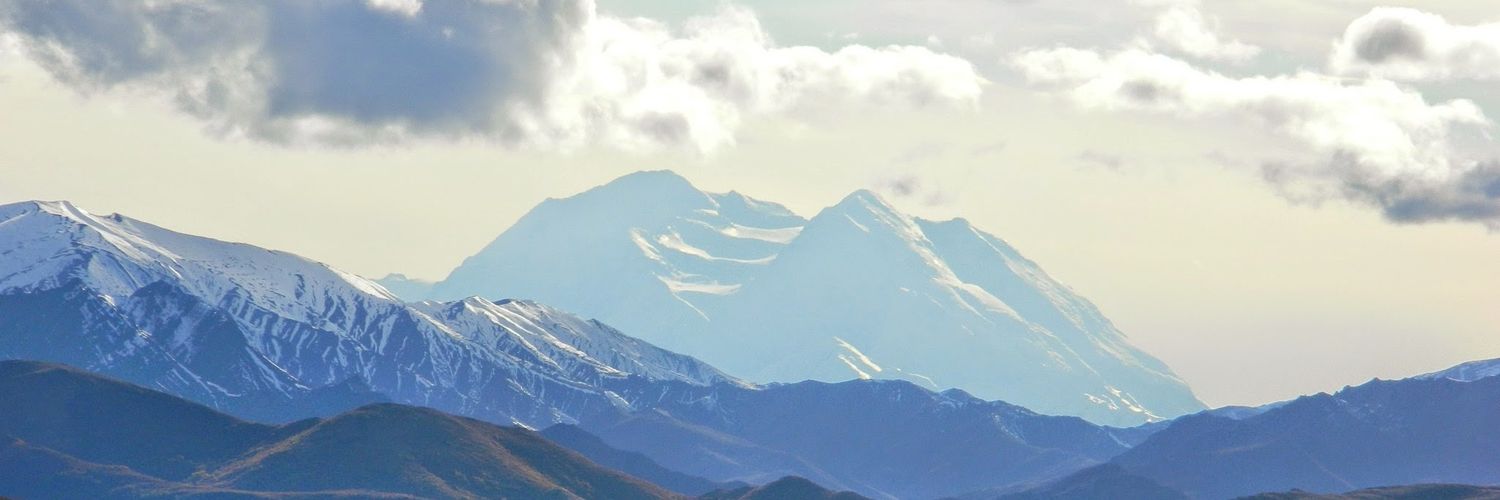 Georgiann banner