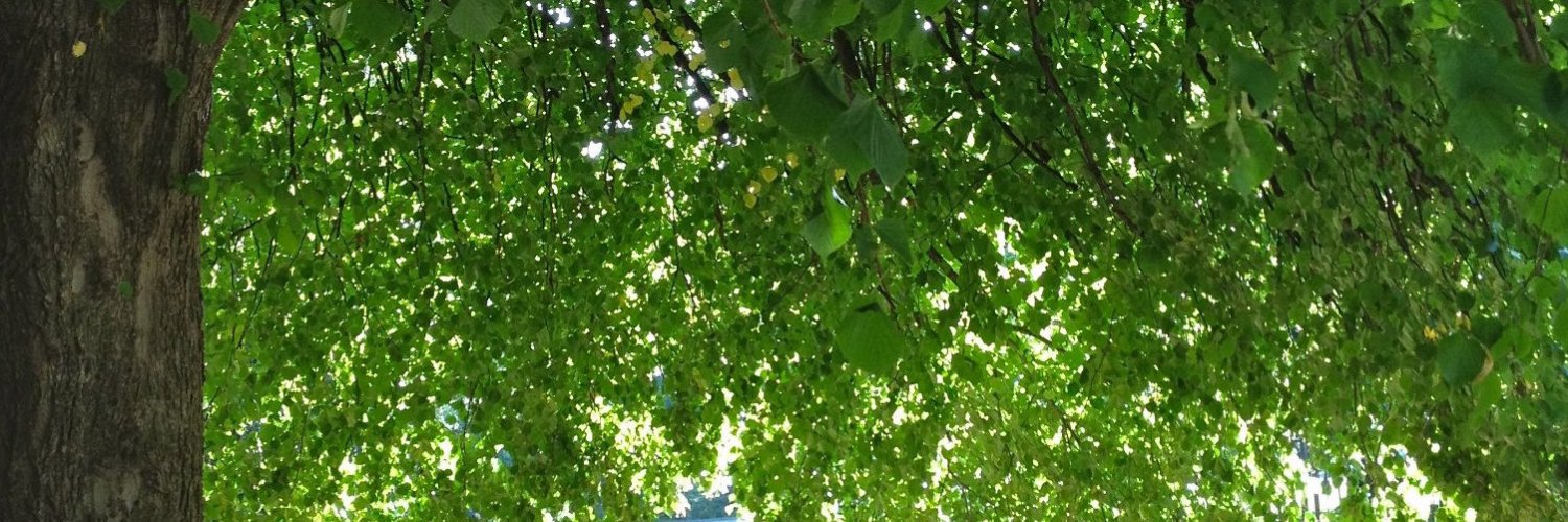 Puppet State Theatre banner