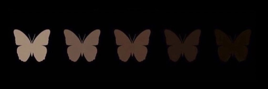 destoooo banner