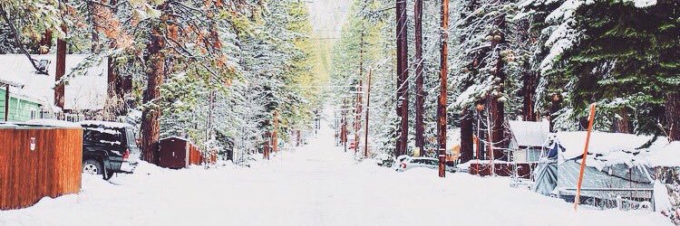 taylrhilton's profile banner image
