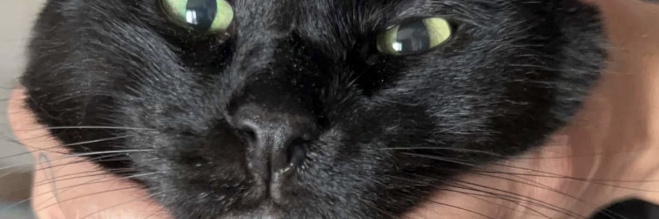 itsGuinn_'s profile banner image