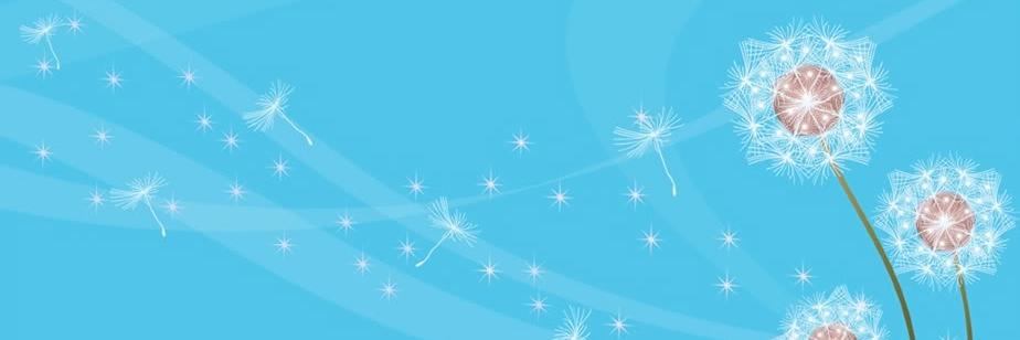 playhavensf's profile banner image