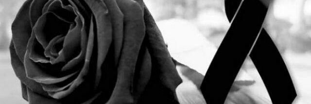 rojasjulio2's profile banner image
