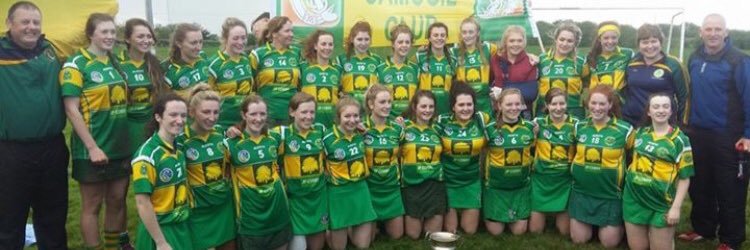 CappamoreCamogieClub banner
