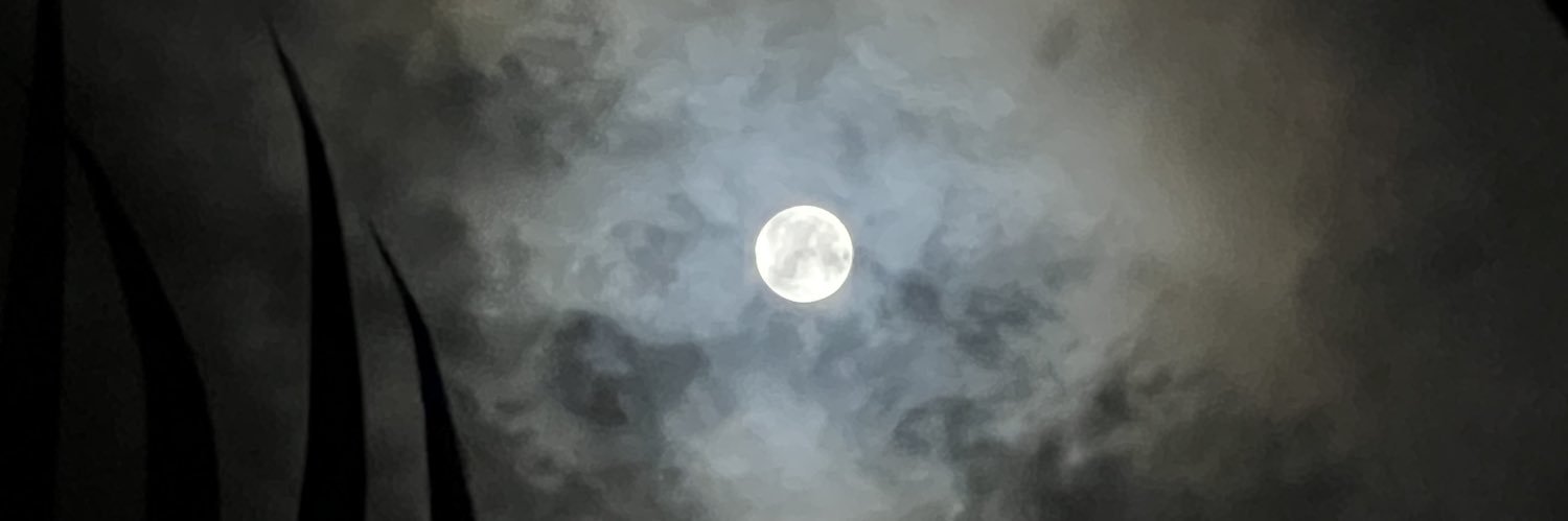 amayacaramel's profile banner image