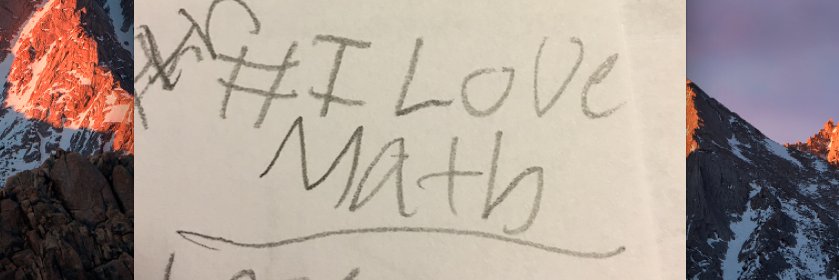 Tammy Schultz banner