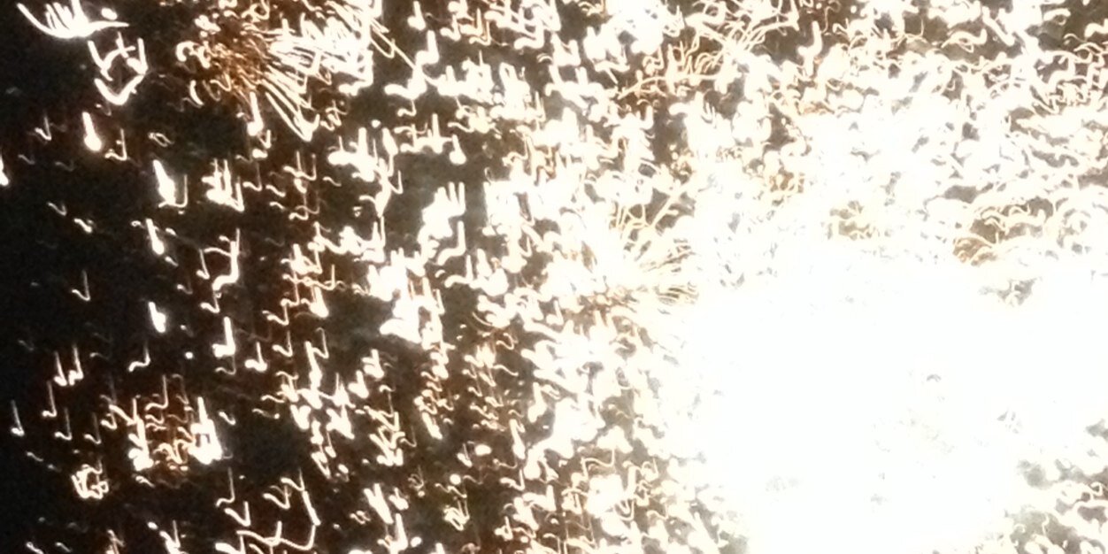 Catielou9's profile banner image