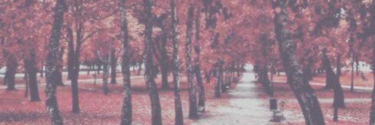 SmileLesterrr's profile banner image