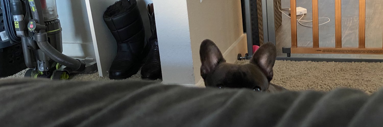 SeanELee's profile banner image