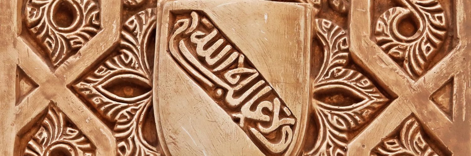 aliduz42's profile banner image