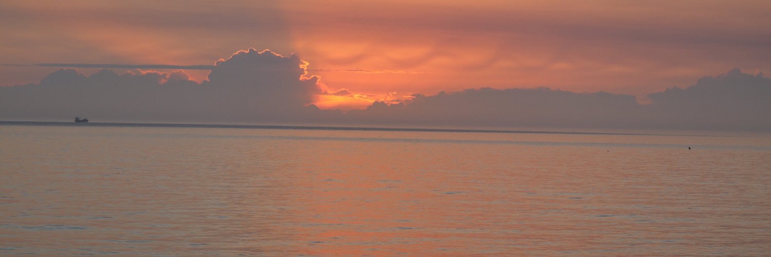Sandi_Neesta's profile banner image