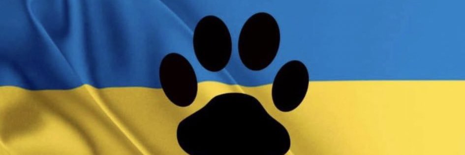 Lynn Gaskins, M.D.🟧 banner