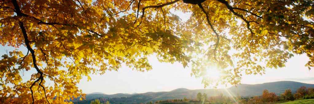 hernan_9810's profile banner image